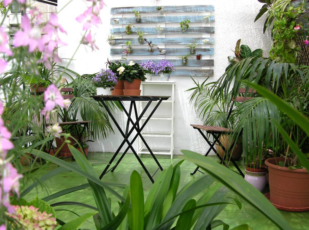 Apartamentos Calypso 푼타움브리아 외부 사진