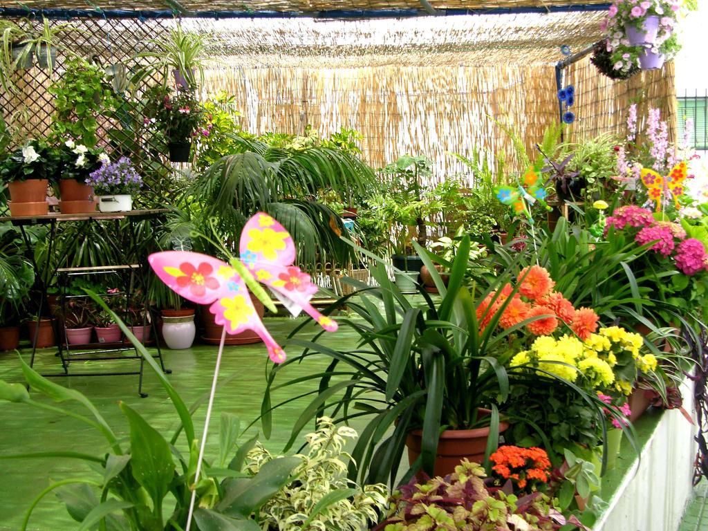 Apartamentos Calypso 푼타움브리아 외부 사진