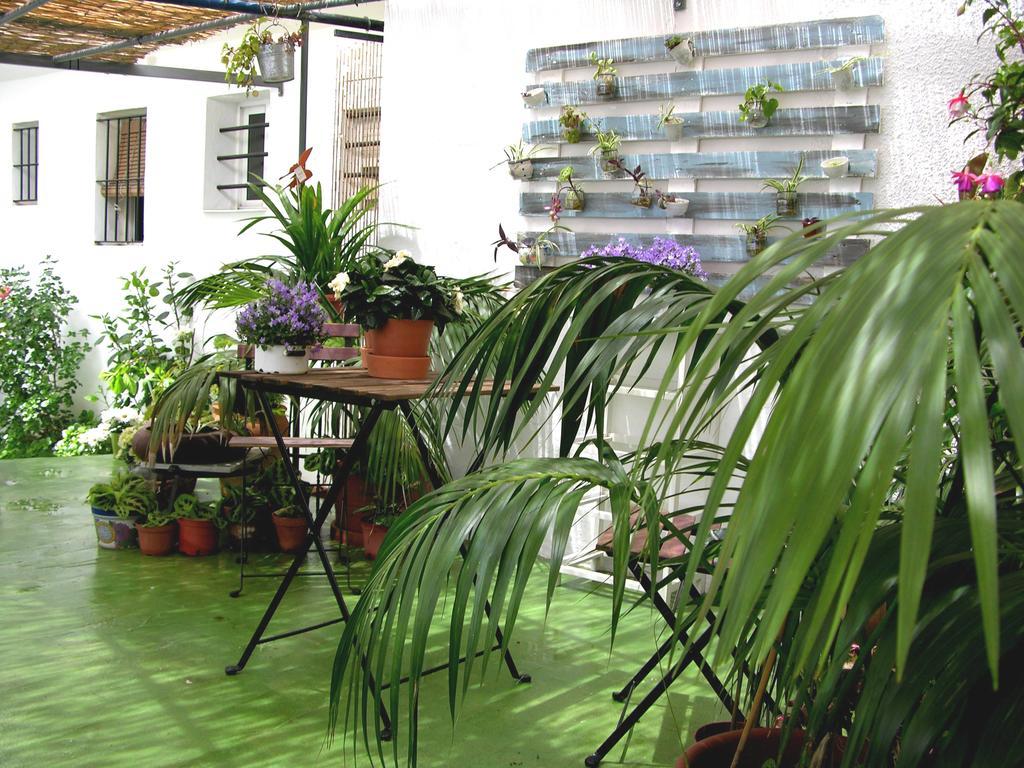 Apartamentos Calypso 푼타움브리아 외부 사진